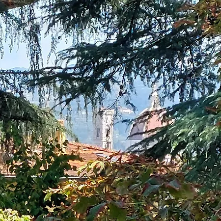 Greenhouse
